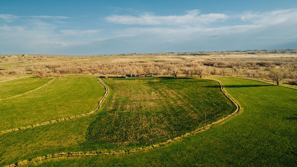 1321 Sussex Road, Kaycee, WY 82639 photo 25