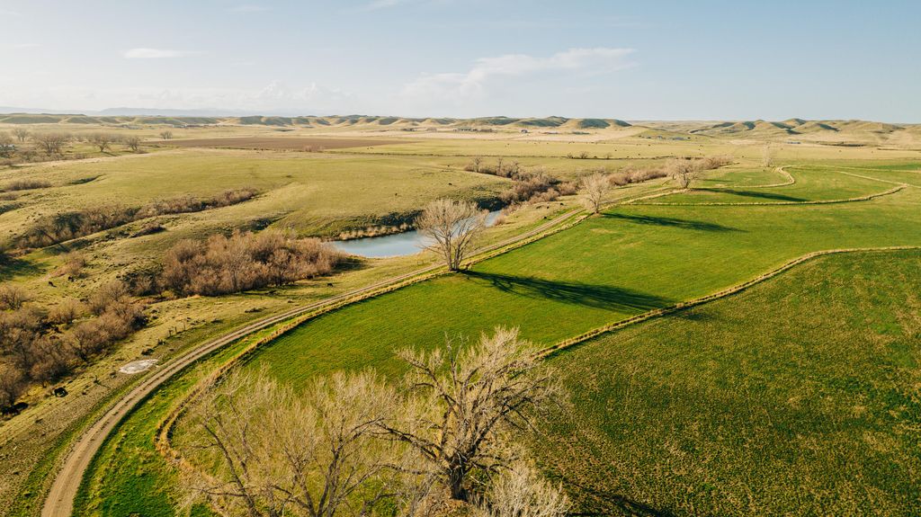 1321 Sussex Road, Kaycee, WY 82639 photo 3