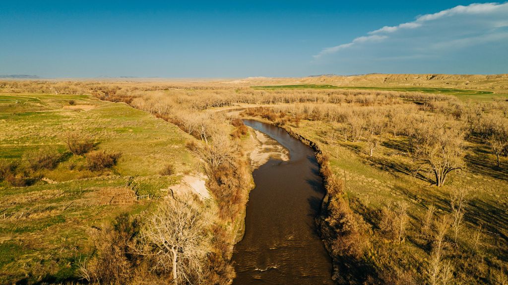 1321 Sussex Road, Kaycee, WY 82639 photo 6