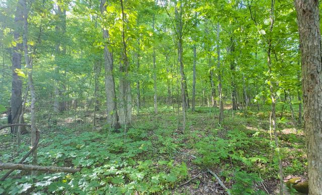 140 Ben Johnson Rd, Pulaski, TN 38478