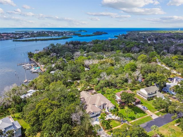 1705 MEYERS COVE DRIVE, Tarpon Springs, FL 34689