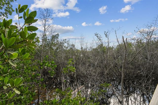 1705 MEYERS COVE DRIVE, Tarpon Springs, FL 34689