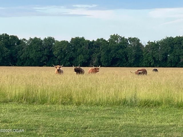 13341 Knoll Road, Carthage, MO 64836