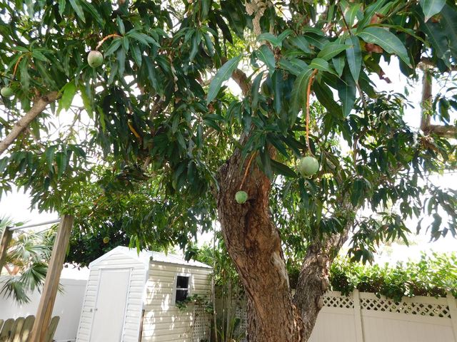 2580 SE 5th Court, Pompano Beach, FL 33062