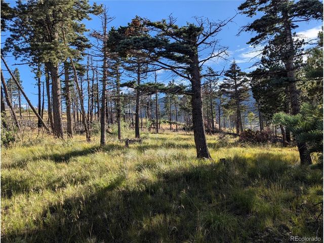 2127 Sigler Dr, Fort Garland, CO 81133