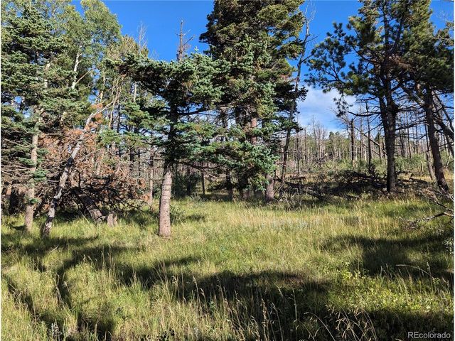 2127 Sigler Dr, Fort Garland, CO 81133