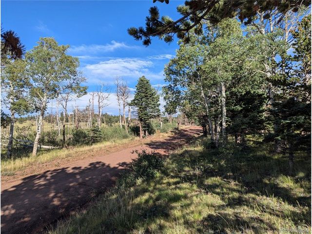 2127 Sigler Dr, Fort Garland, CO 81133
