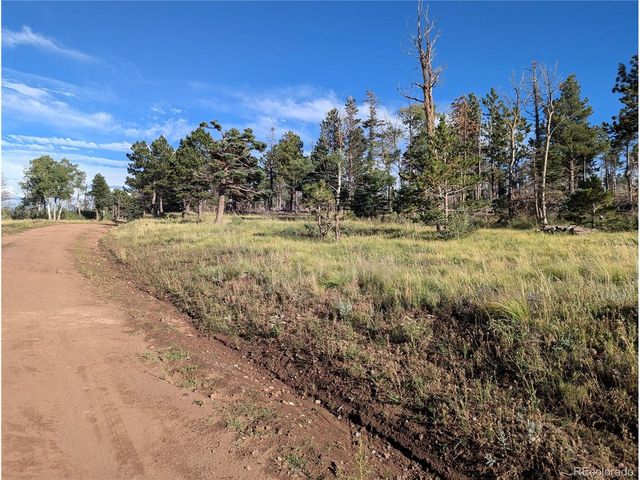 2127 Sigler Dr, Fort Garland, CO 81133