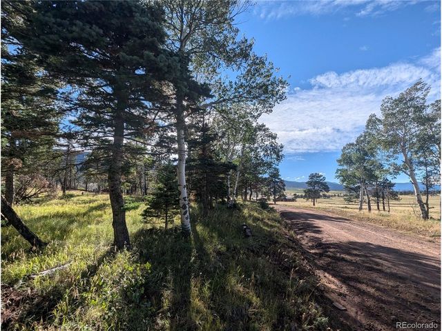 2127 Sigler Dr, Fort Garland, CO 81133