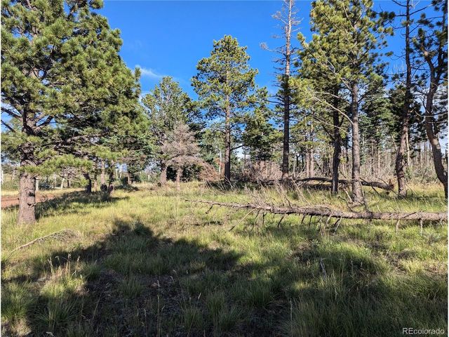 2127 Sigler Dr, Fort Garland, CO 81133