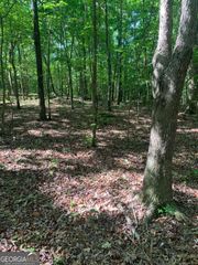 7700 Poole Circle TRACT A, Alto, GA 30510