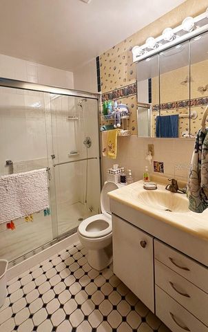 9811 LILY STREET N 246, Pinellas Park, FL 33782