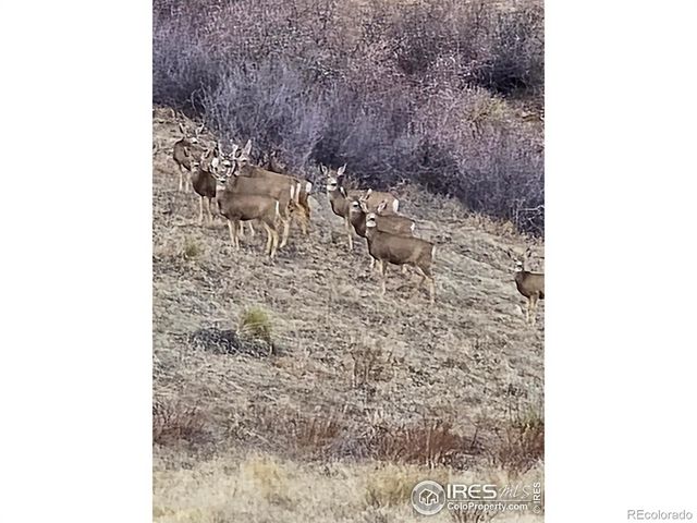 0 Beverly Drive, Berthoud, CO 80513