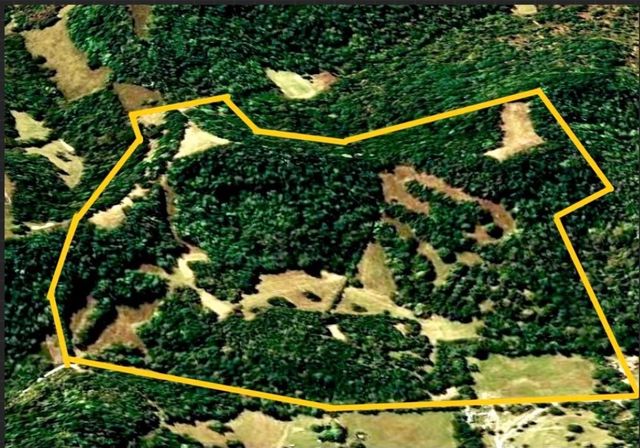 0 Sorrells Road, Petersburg, TN 37144