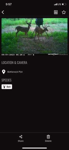 0 Sorrells Road, Petersburg, TN 37144