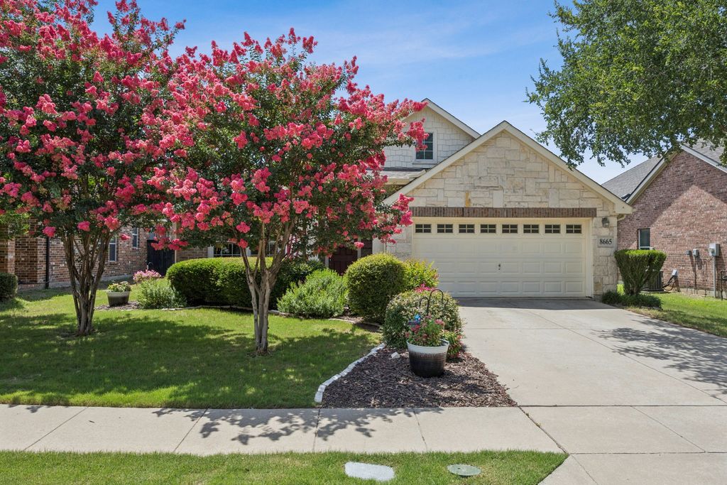 8665 Marion Drive, Frisco, TX 75036