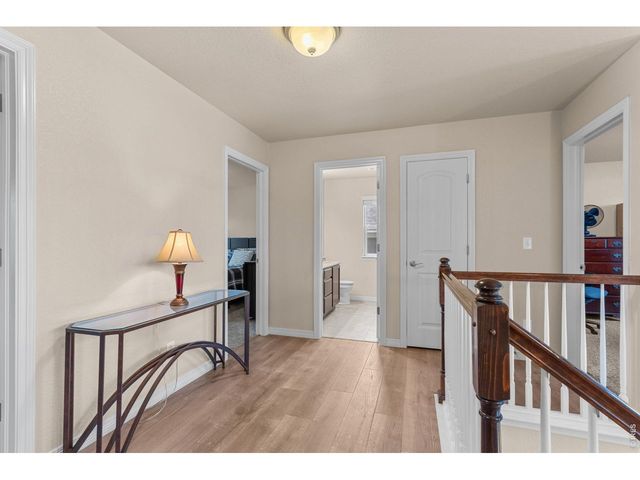 562 Dakota Ct, Windsor, CO 80550