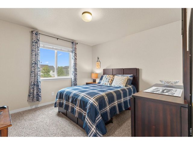 562 Dakota Ct, Windsor, CO 80550