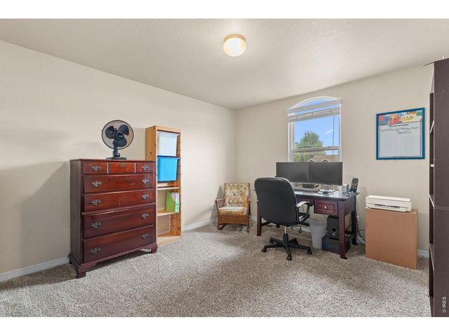 562 Dakota Ct, Windsor, CO 80550