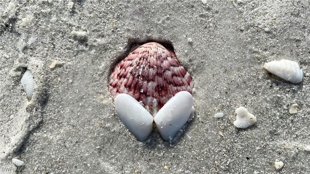 4118 Bayside Villas, Captiva, FL 33924