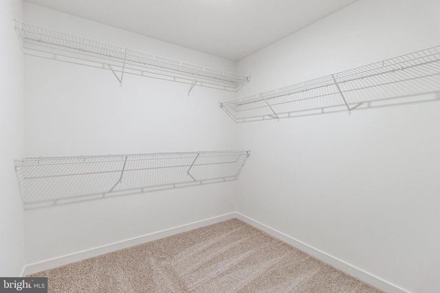 905 HONEYFLOWER DR, Reisterstown, MD 21136