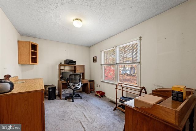 4403 BACK MOUNTAIN RD, Winchester, VA 22602