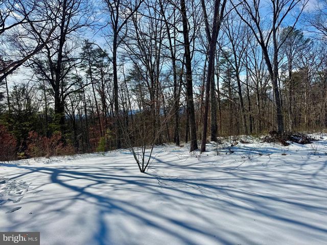 4403 BACK MOUNTAIN RD, Winchester, VA 22602