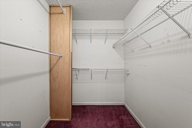 4403 BACK MOUNTAIN RD, Winchester, VA 22602