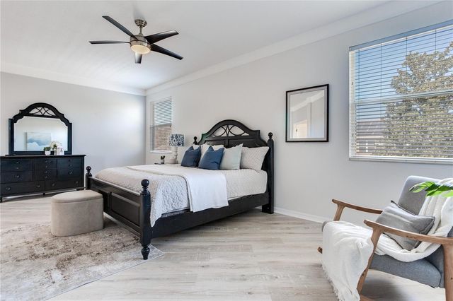 517 HARBOR GROVE CIRCLE, Safety Harbor, FL 34695