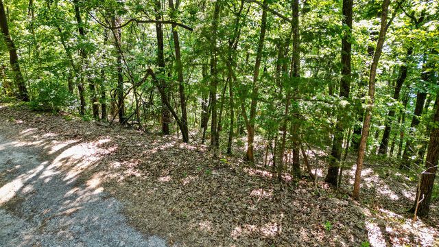 Lot 12 Highland Way, Garfield, AR 72732