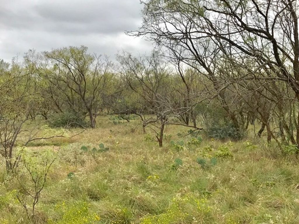 Image 1 of property listing at 0 S Jameson Road, San Angelo, TX 76901