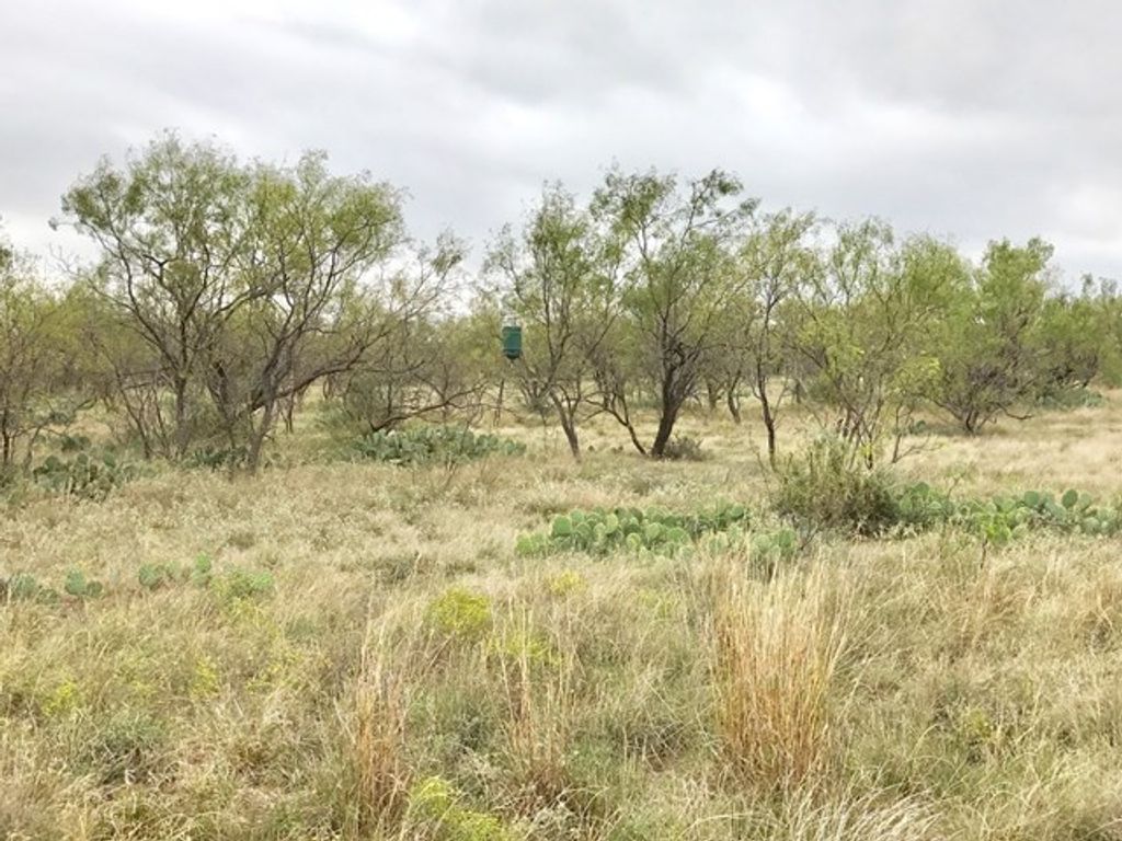 Image 10 of property listing at 0 S Jameson Road, San Angelo, TX 76901