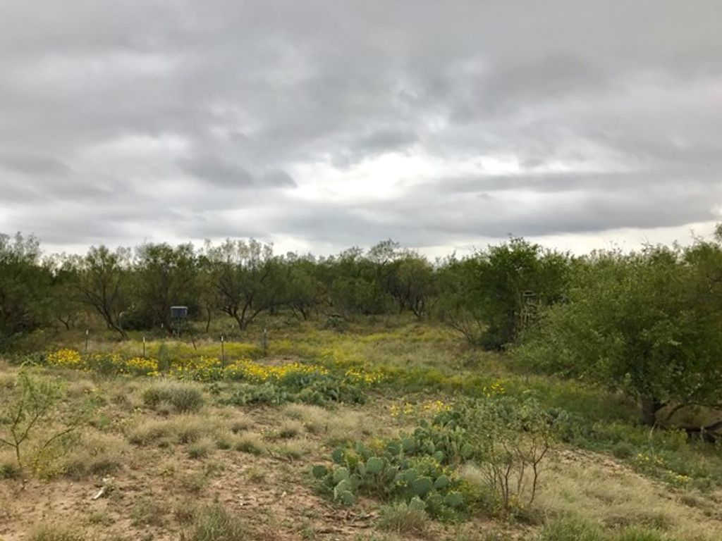 Image 5 of property listing at 0 S Jameson Road, San Angelo, TX 76901