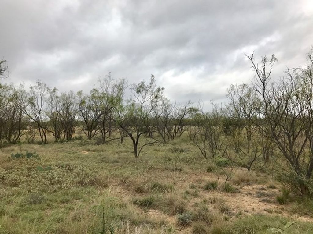 Image 7 of property listing at 0 S Jameson Road, San Angelo, TX 76901