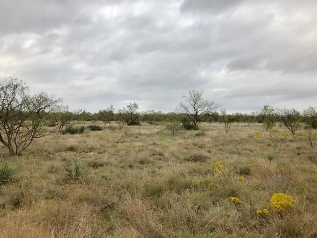 Image 8 of property listing at 0 S Jameson Road, San Angelo, TX 76901