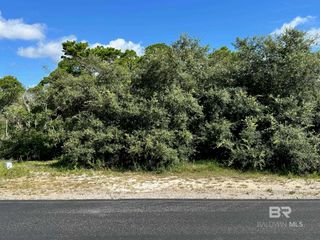 0 Bayou Court Bayou Court, Orange Beach, AL 36561