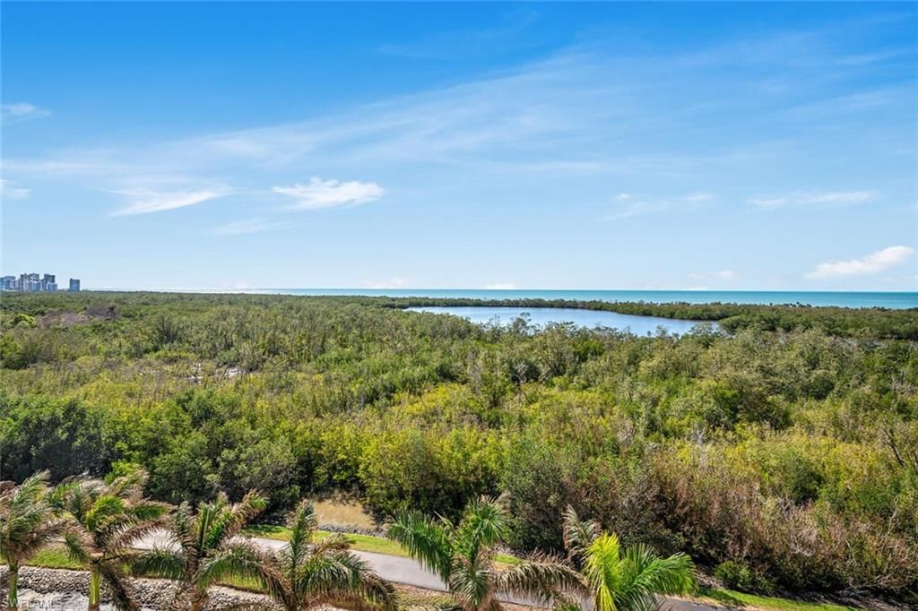 6849 Grenadier BLVD 802, NAPLES, FL 34108 — photo 2