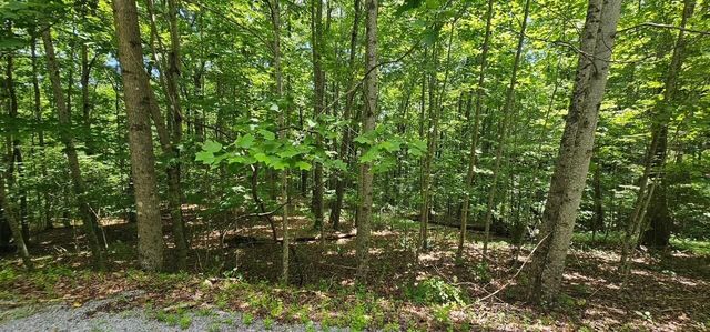 555 Oak Leaf Lane, Dunlap, TN 37327