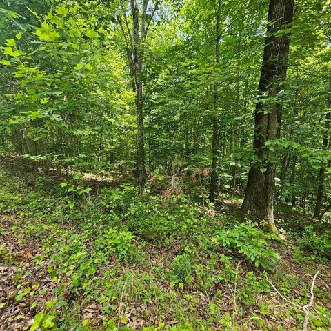 555 Oak Leaf Lane, Dunlap, TN 37327