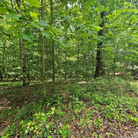 555 Oak Leaf Lane, Dunlap, TN 37327