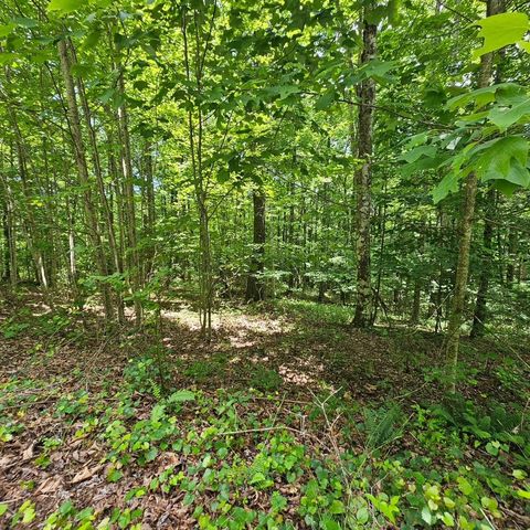 555 Oak Leaf Lane, Dunlap, TN 37327