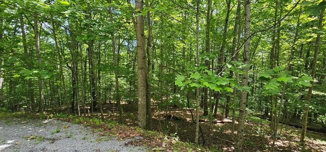 555 Oak Leaf Lane, Dunlap, TN 37327