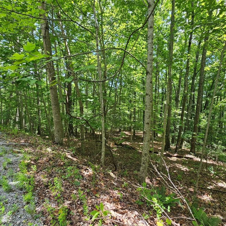 555 Oak Leaf Lane, Dunlap, TN 37327