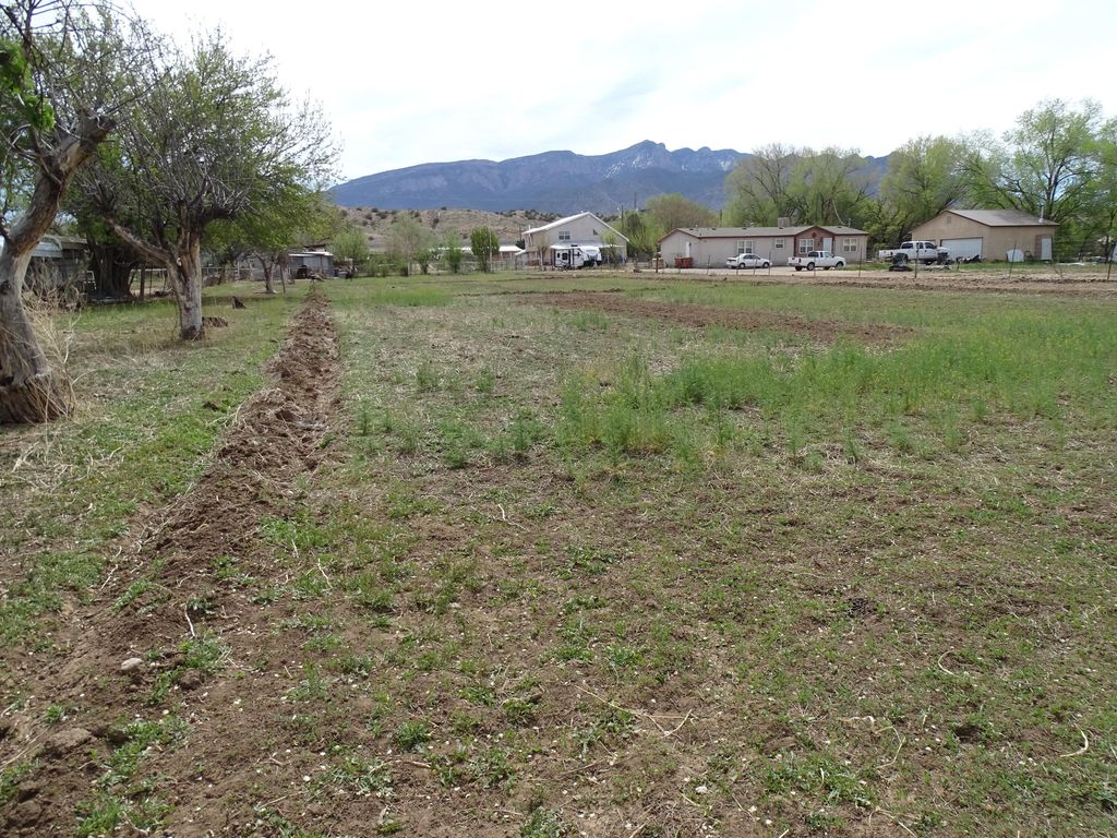 926 Oak Street A-2, Bernalillo, NM 87004