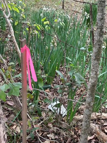 0 Dilling St, Alvin, TX 77511