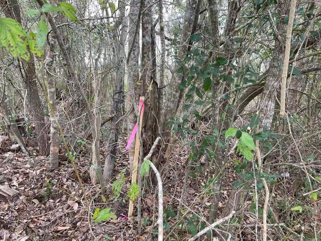 0 Dilling St, Alvin, TX 77511