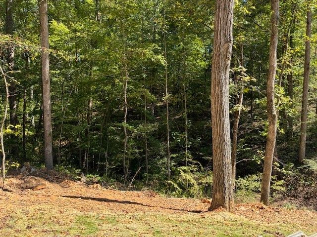 3224 Hunziker Lane, Fairview, TN 37062