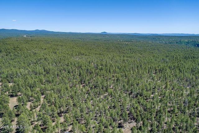 95 E FOXBORO Road 11, Munds Park, AZ 86017