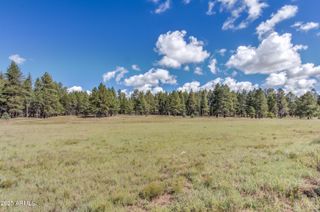 95 E FOXBORO Road 11, Munds Park, AZ 86017