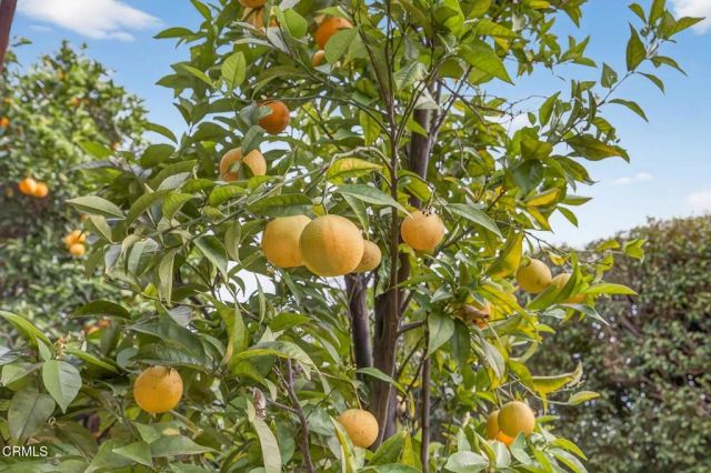 1736 Marisol Drive, Ventura, CA 93001